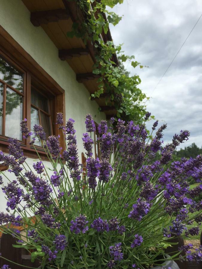 Dom Rodziny Sojkow Bed and Breakfast Bialka Tatrzanska Buitenkant foto
