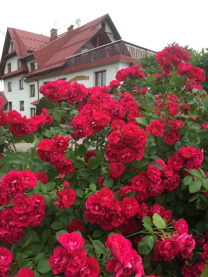 Dom Rodziny Sojkow Bed and Breakfast Bialka Tatrzanska Buitenkant foto