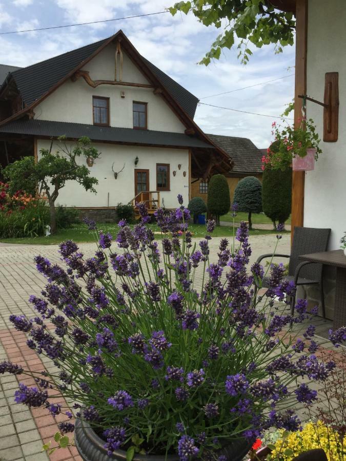 Dom Rodziny Sojkow Bed and Breakfast Bialka Tatrzanska Buitenkant foto